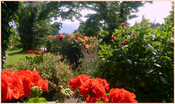 h_wildbachhaeusl-herbstblumen-im-garten.gif